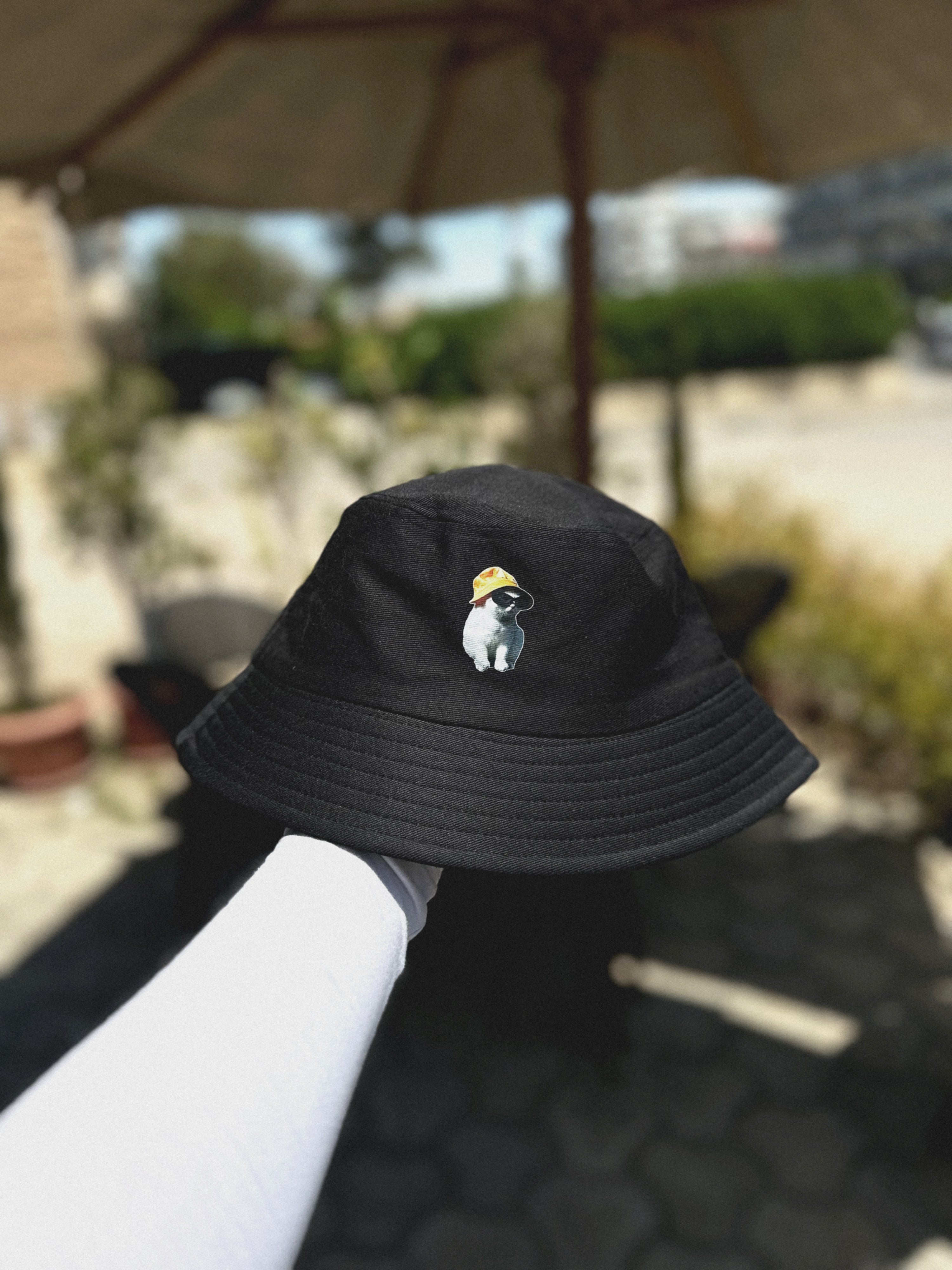 cat with a hat- bucket hat