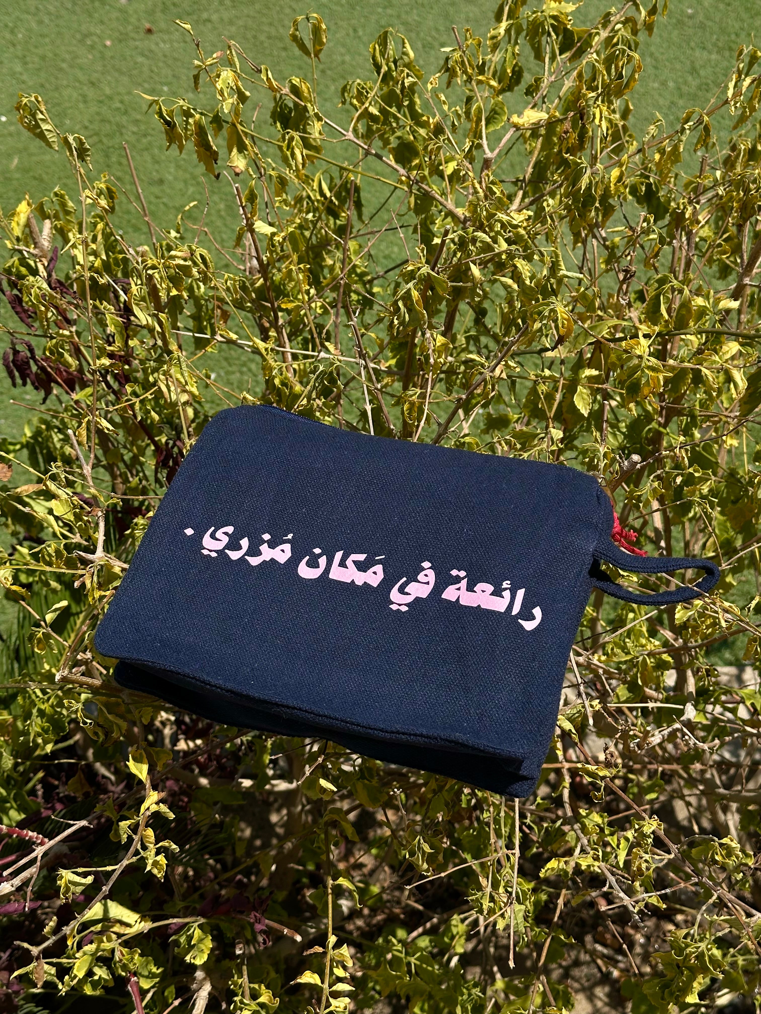 رائعة في مكان مزري - pouch