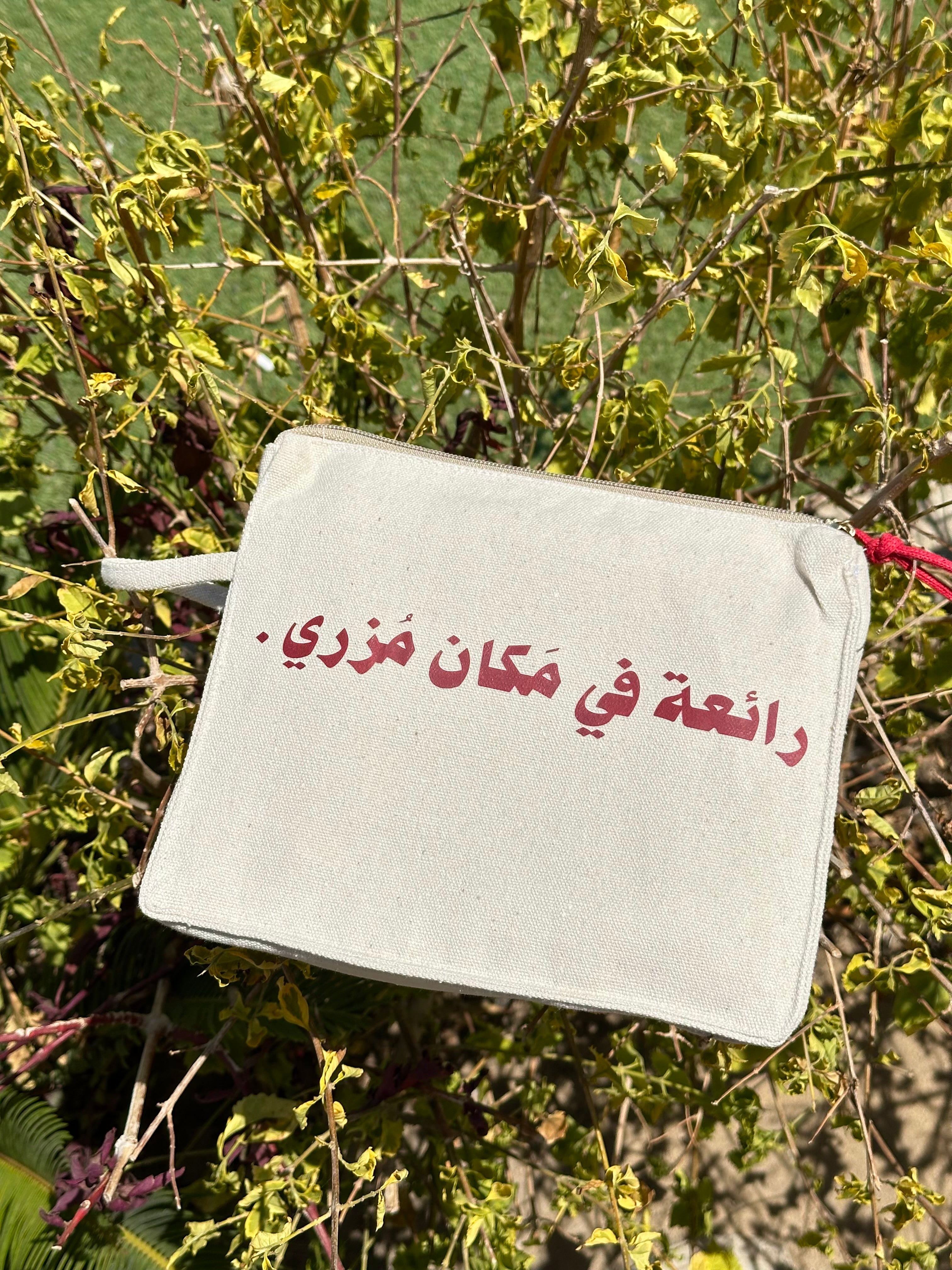 رائعة في مكان مزري - pouch