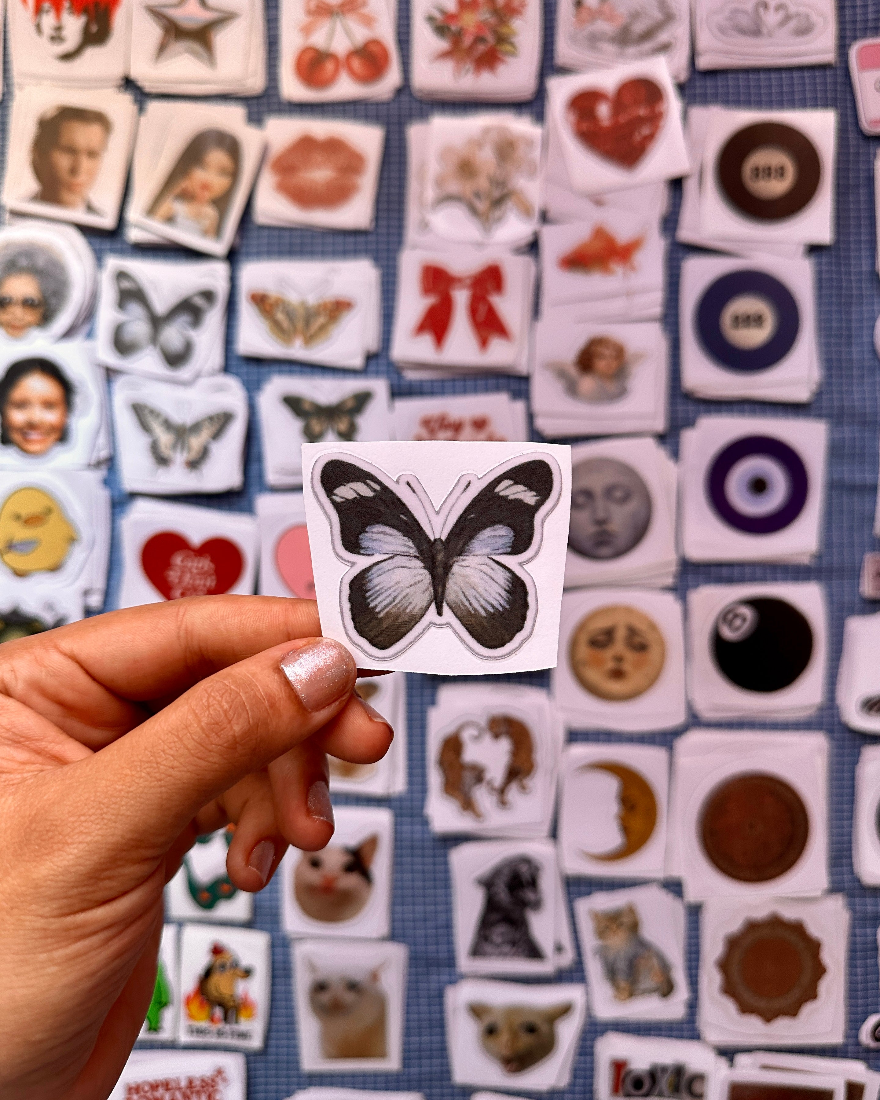 Blue butterfly