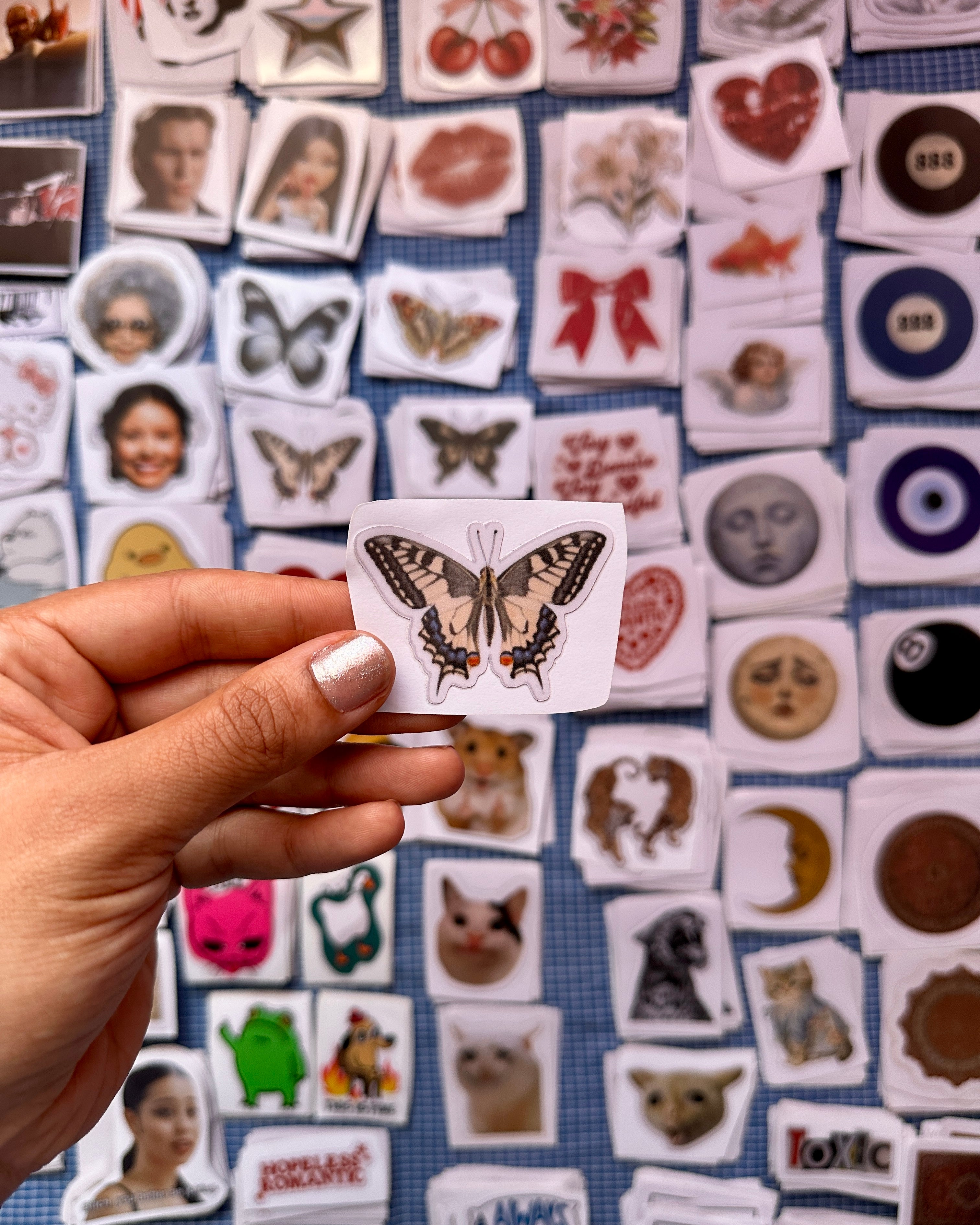 gray butterfly