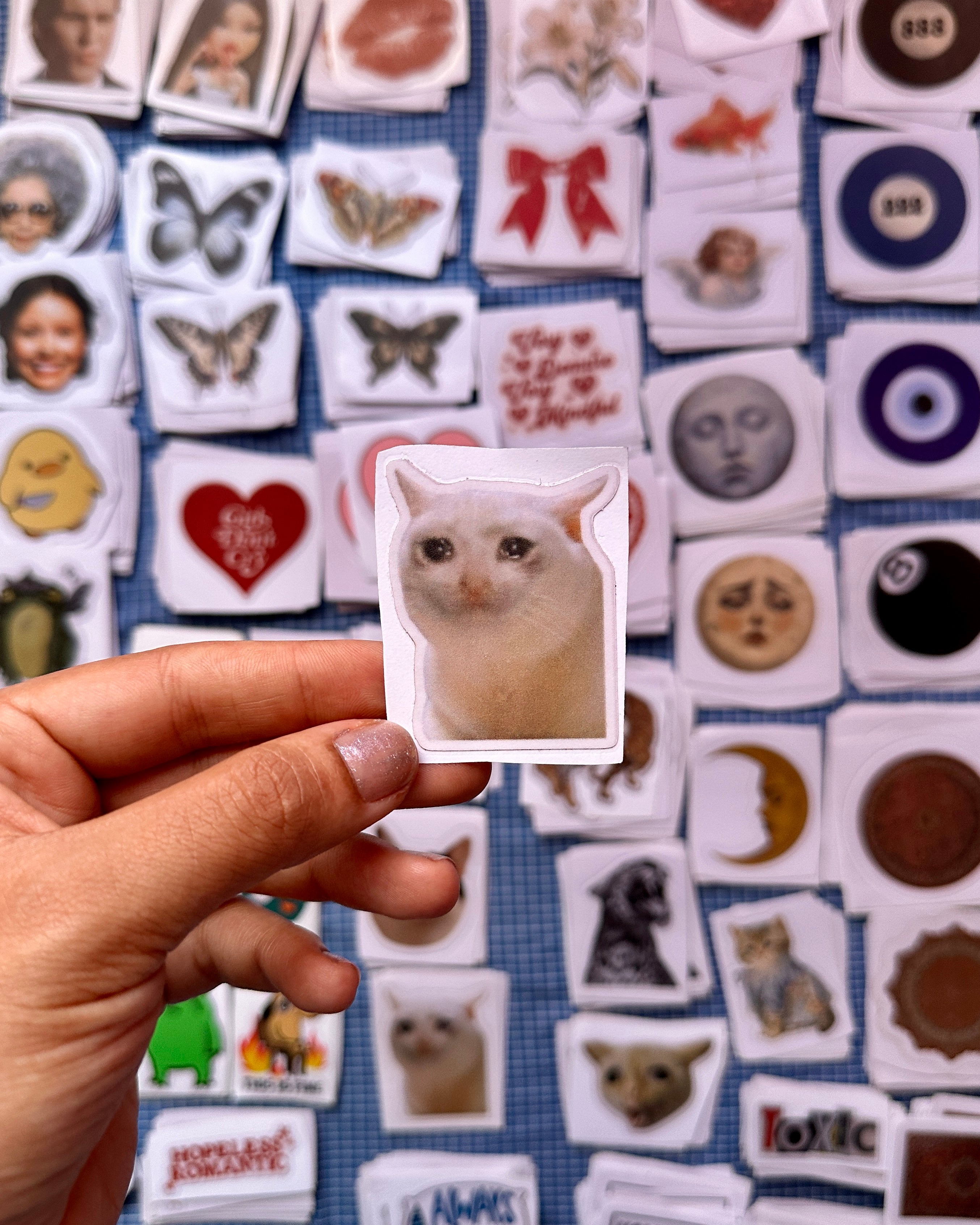crying cat meme
