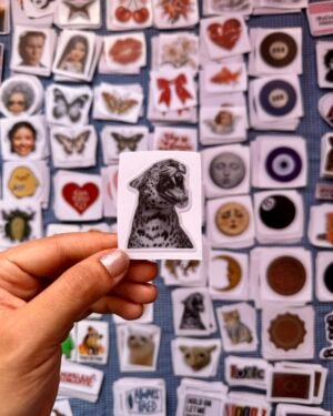 IMG_4550 Black Tiger